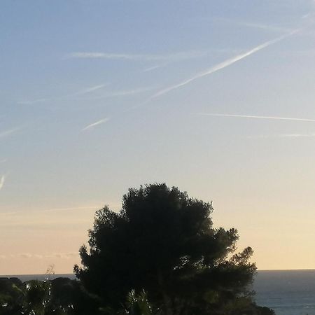 Sanary Les Gorguettes, Studio Avec Terrasse Vue Mer, A 10 Min A Pieds De La Plage Exteriér fotografie